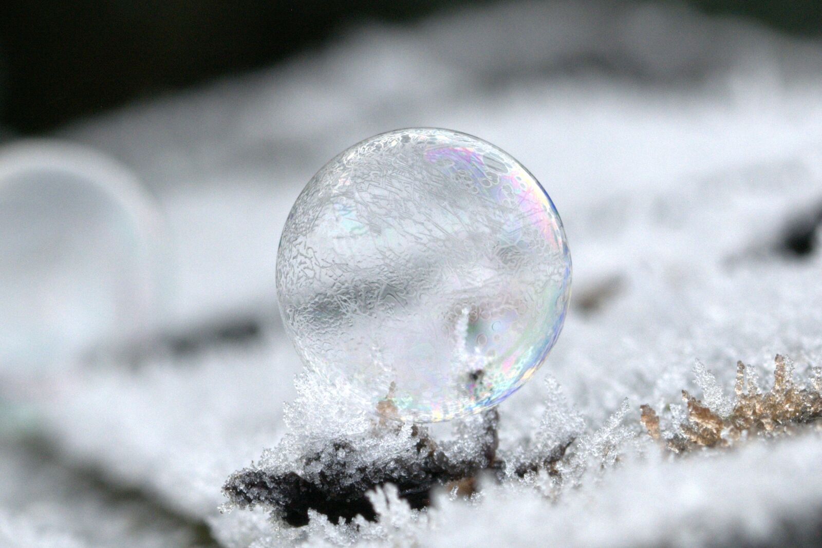 Nikon D5200 sample photo. Soap bubble, mirroring, colorful photography