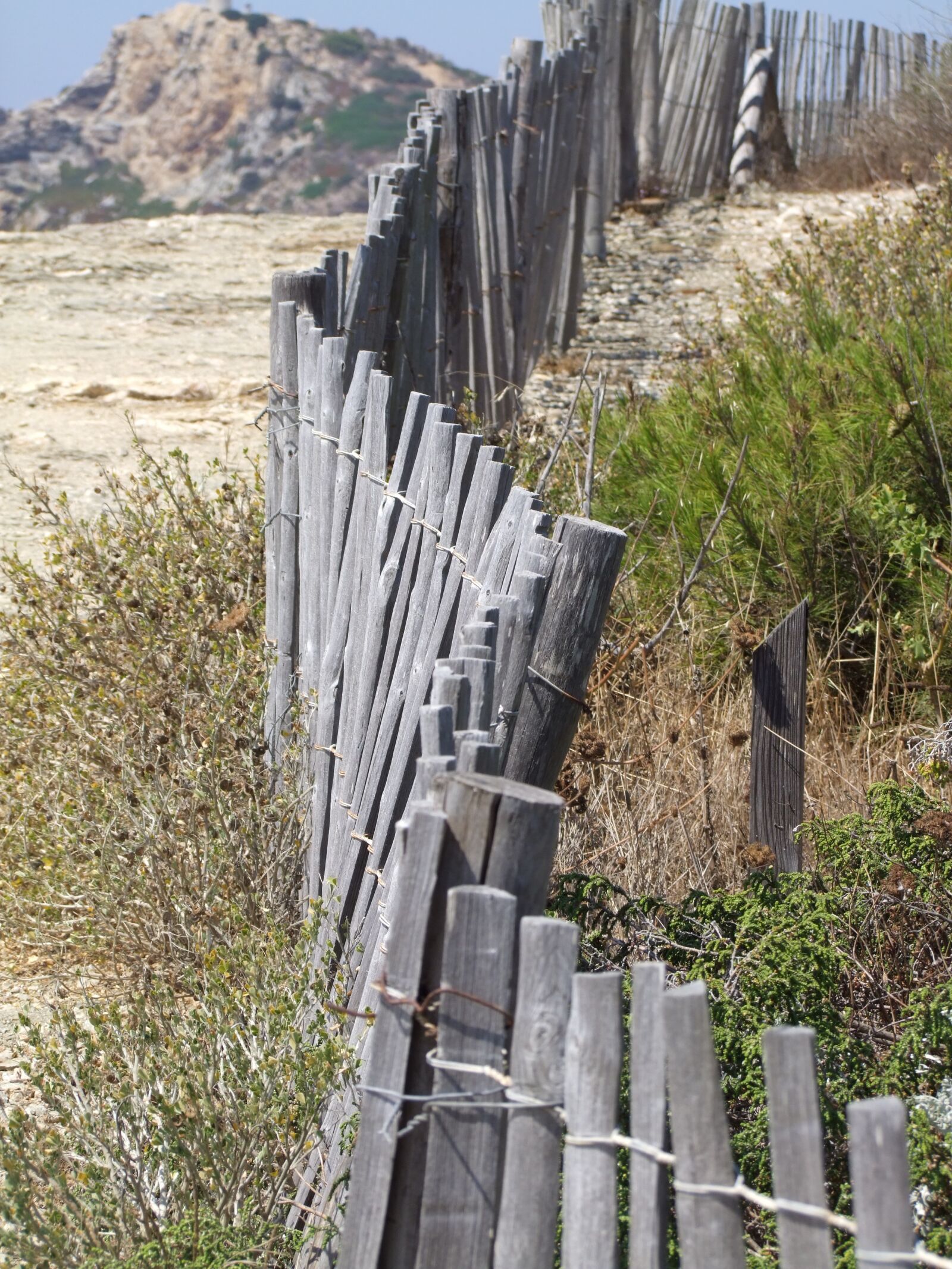 Fujifilm FinePix S100fs sample photo. Palisade, wood, beach photography