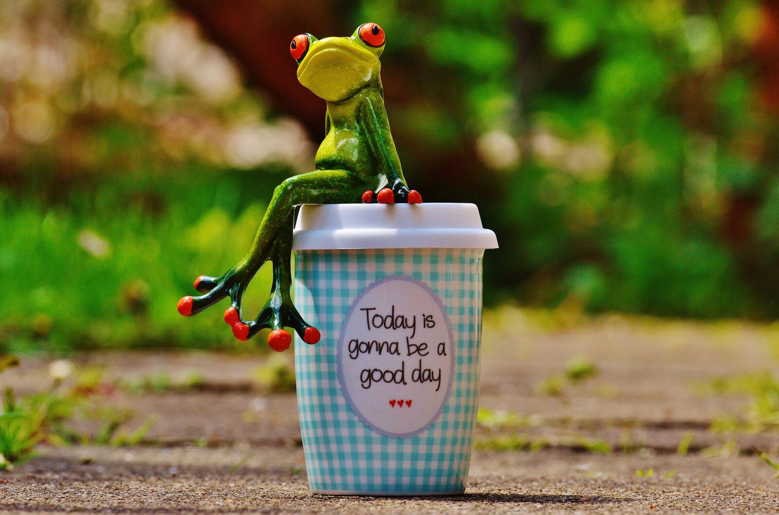 Nikon D3200 sample photo. Beautiful day, joy, frog photography