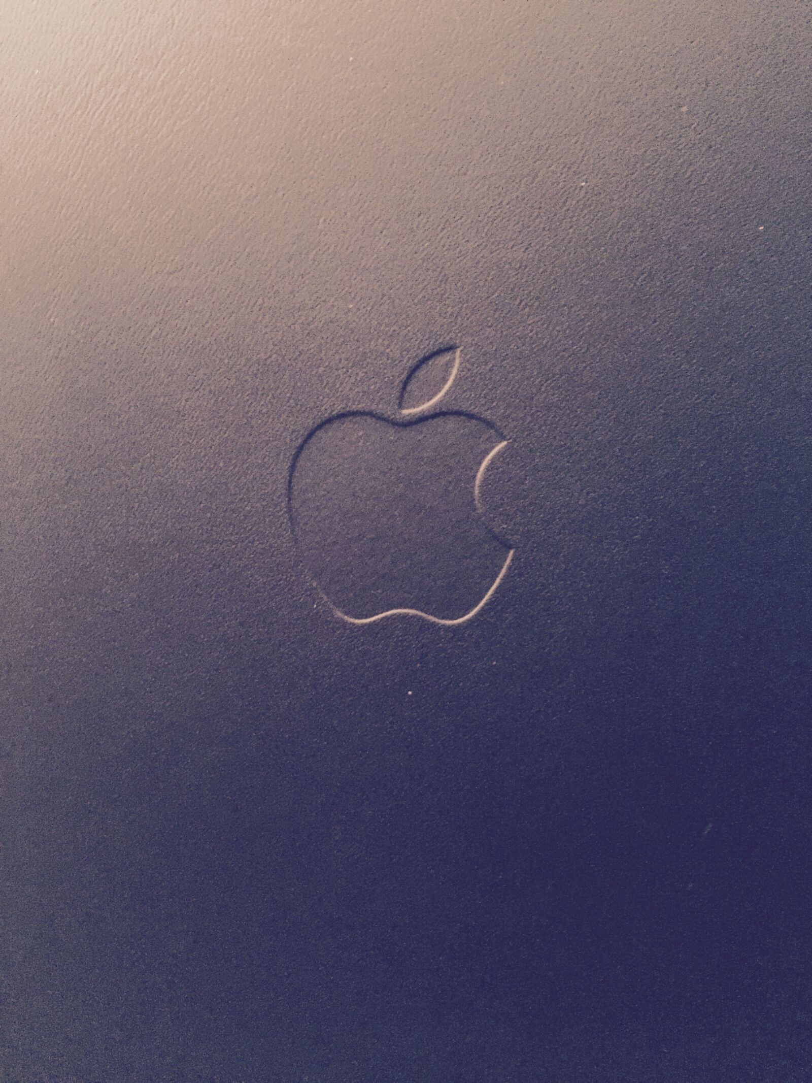 Apple iPhone 6 sample photo