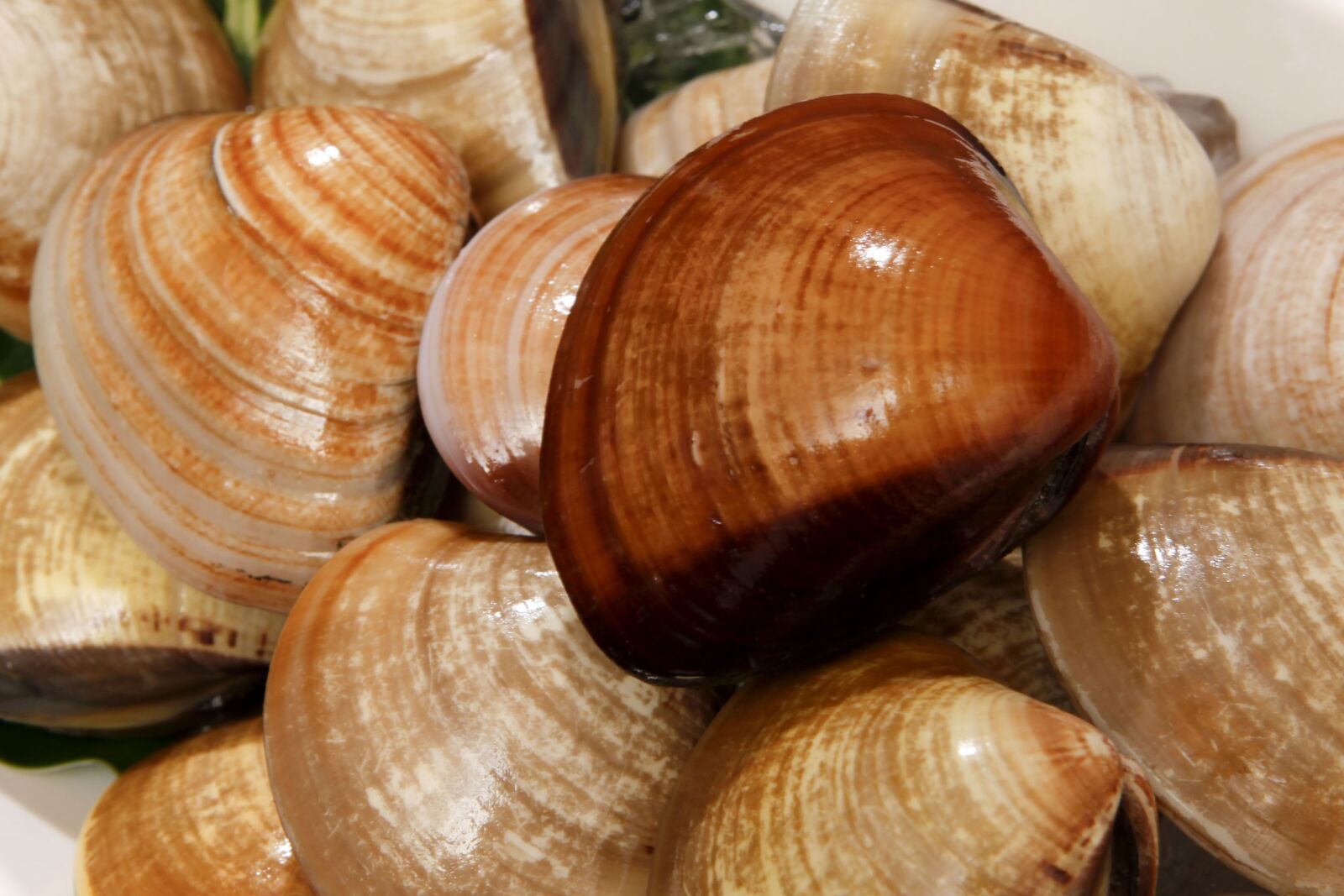 Canon EOS 5D Mark II sample photo. Gourmet, seafood, marine life photography