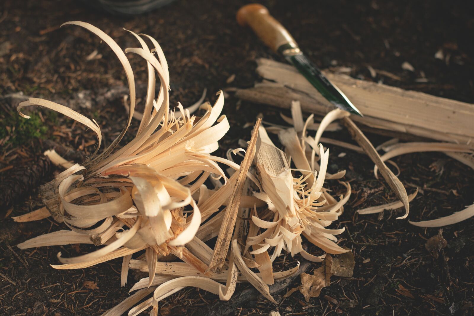 Nikon D5300 sample photo. Explosive, carve, woodcuts photography