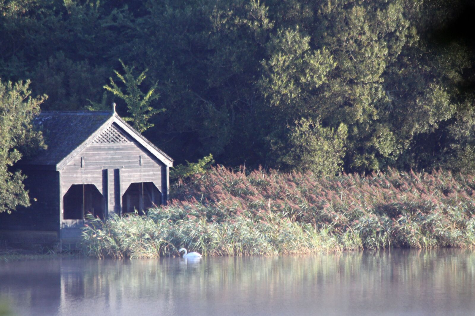 Canon EOS 500D (EOS Rebel T1i / EOS Kiss X3) sample photo. Lake, boathouse, water photography