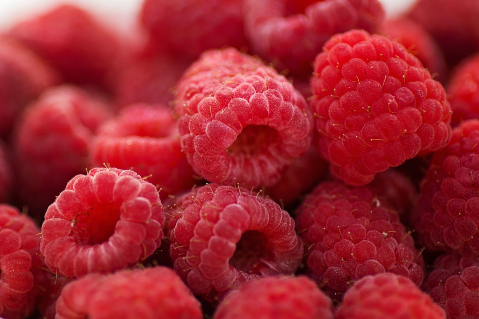 Canon EOS 5D Mark III sample photo. Raspberries, breakfast, summer photography