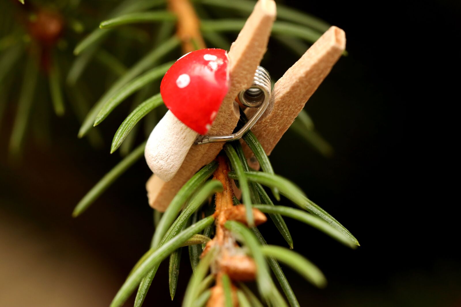 Canon EOS R sample photo. Pine needles, decoration, christmas photography