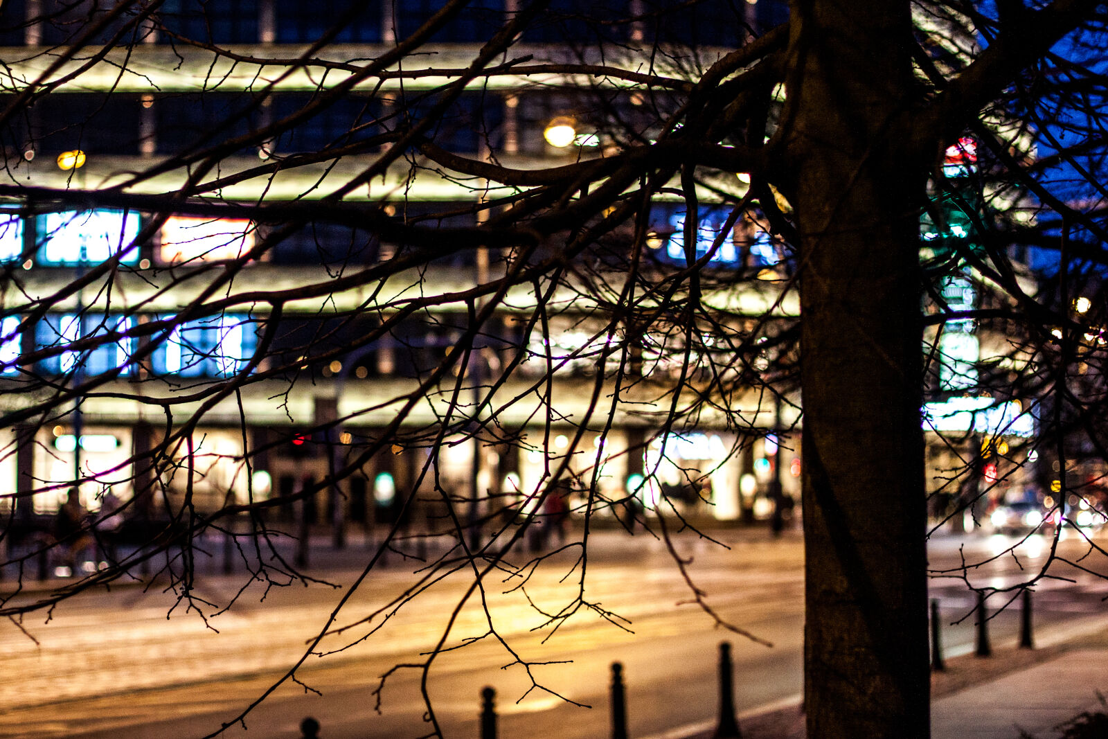 Canon EOS 50D + Canon EF 50mm F1.4 USM sample photo. Blurred, city, tree photography