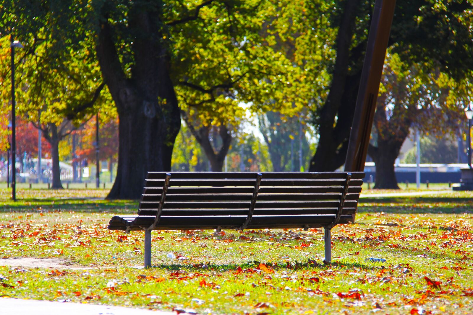 Canon EF-S 18-200mm F3.5-5.6 IS sample photo. Bench, blue, sky photography