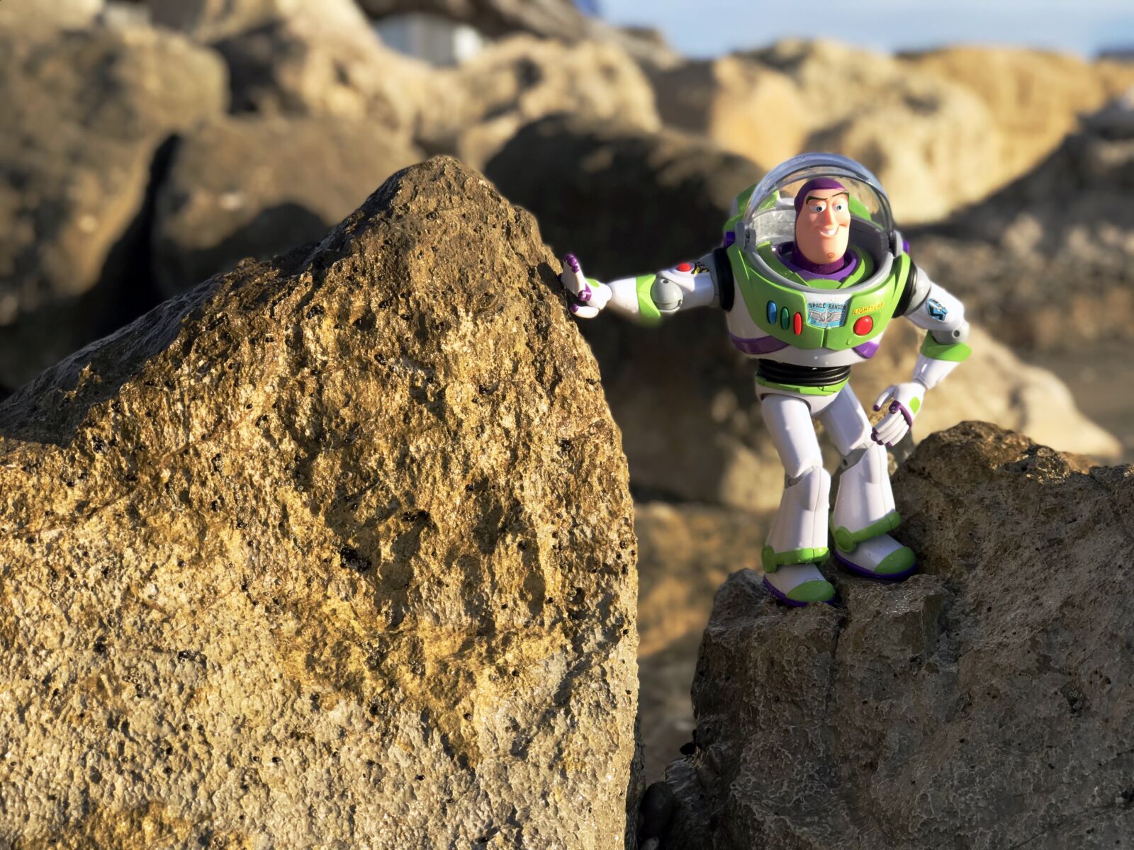 Apple iPhone 7 Plus sample photo. Franky, buzz, lightyear photography