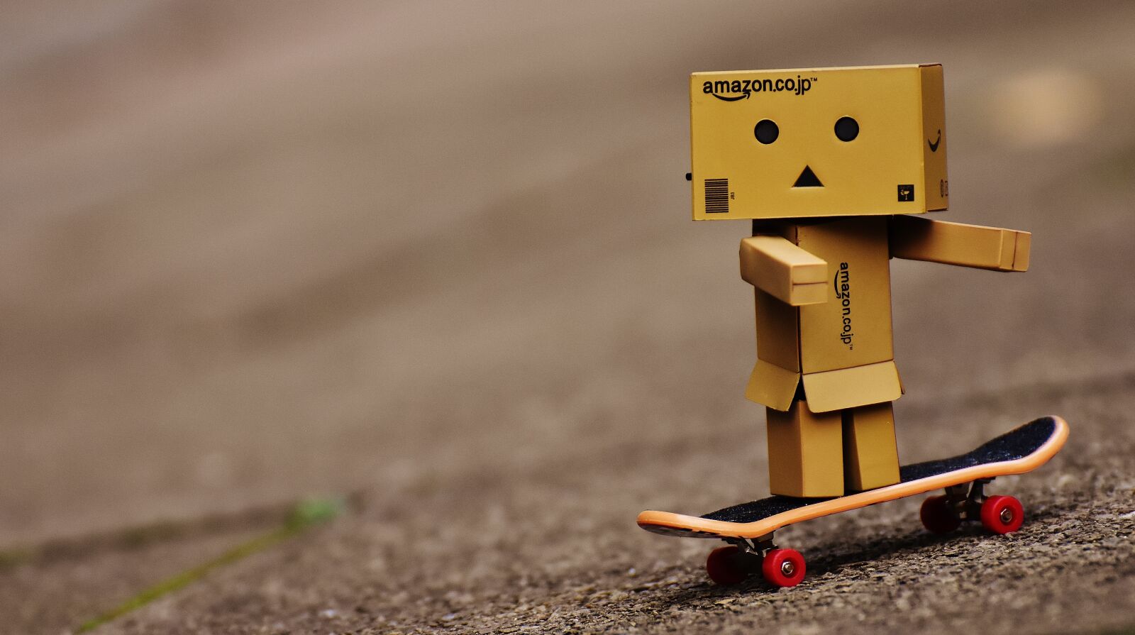 Nikon D7200 sample photo. Danbo, skateboard, drive photography