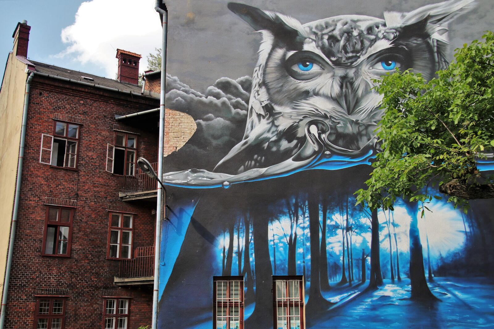 Canon EOS 80D sample photo. Murals, old houses, graffiti photography