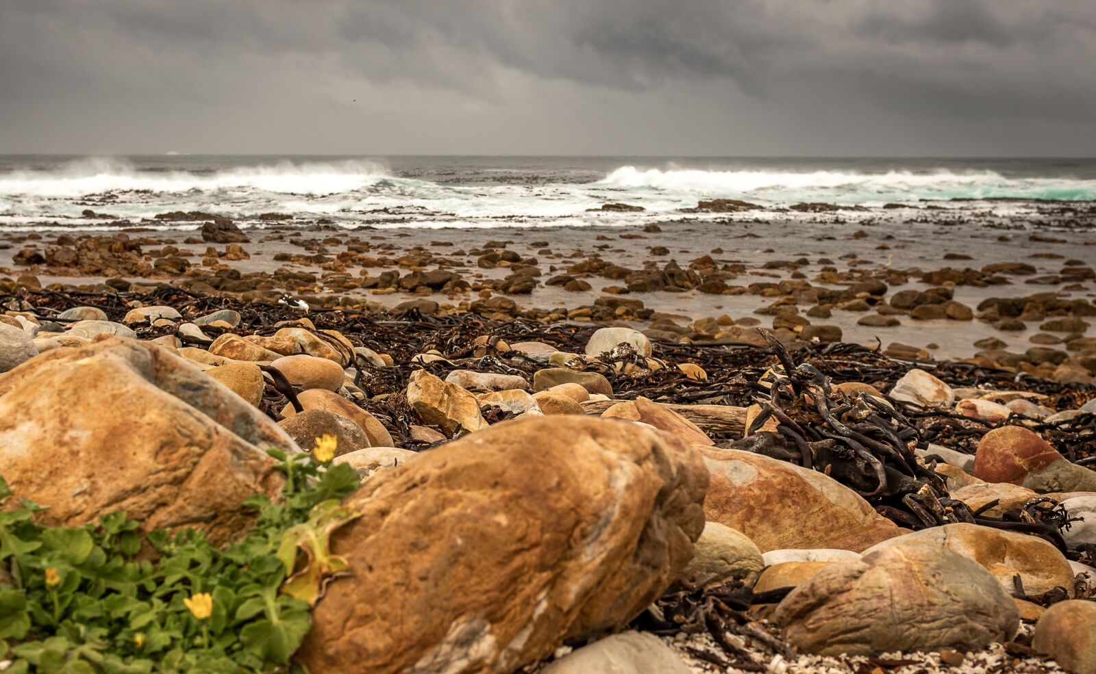 Nikon D750 sample photo. Coast, surf, south africa photography