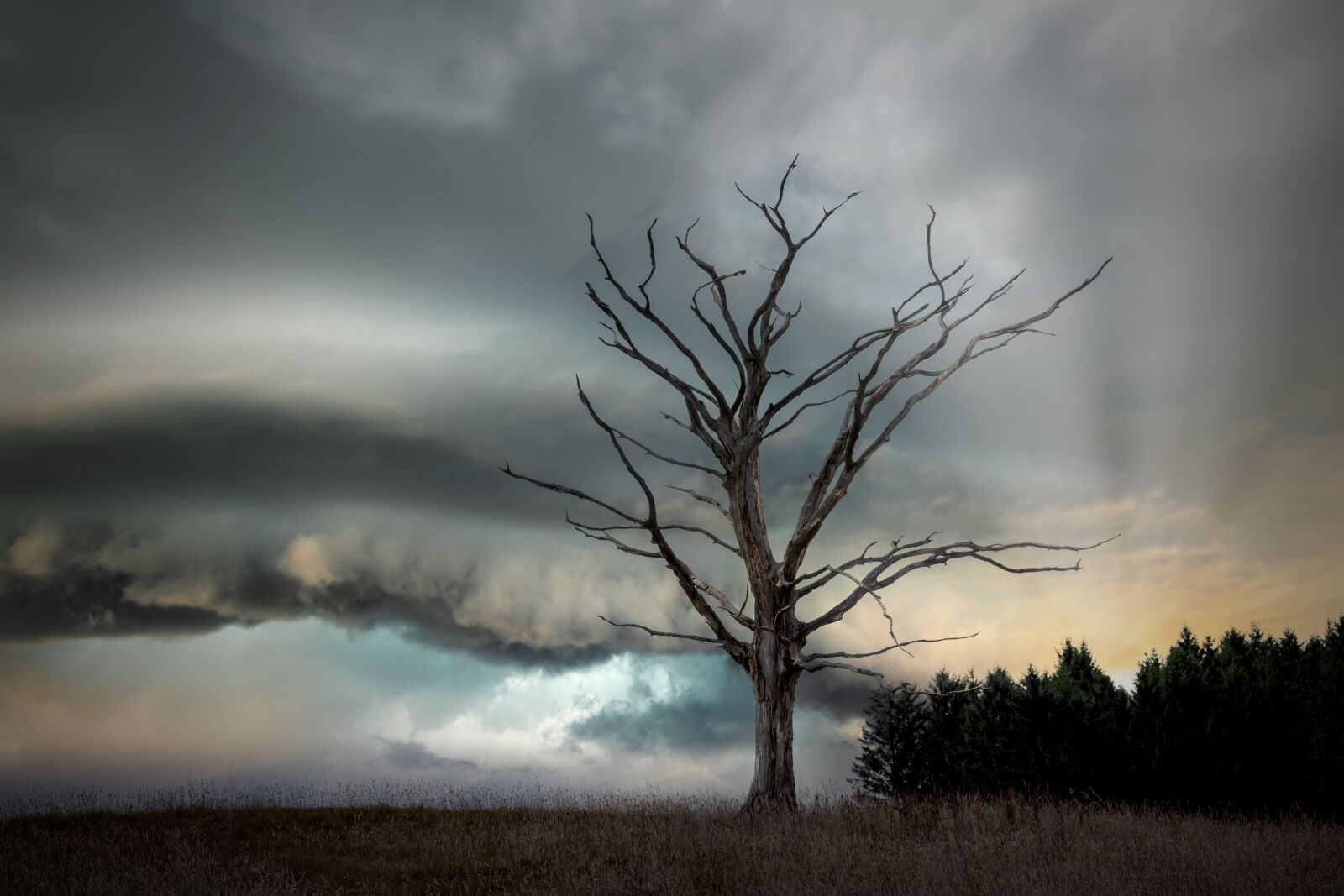 Canon EOS 100D (EOS Rebel SL1 / EOS Kiss X7) sample photo. Tree, storm, sunset photography