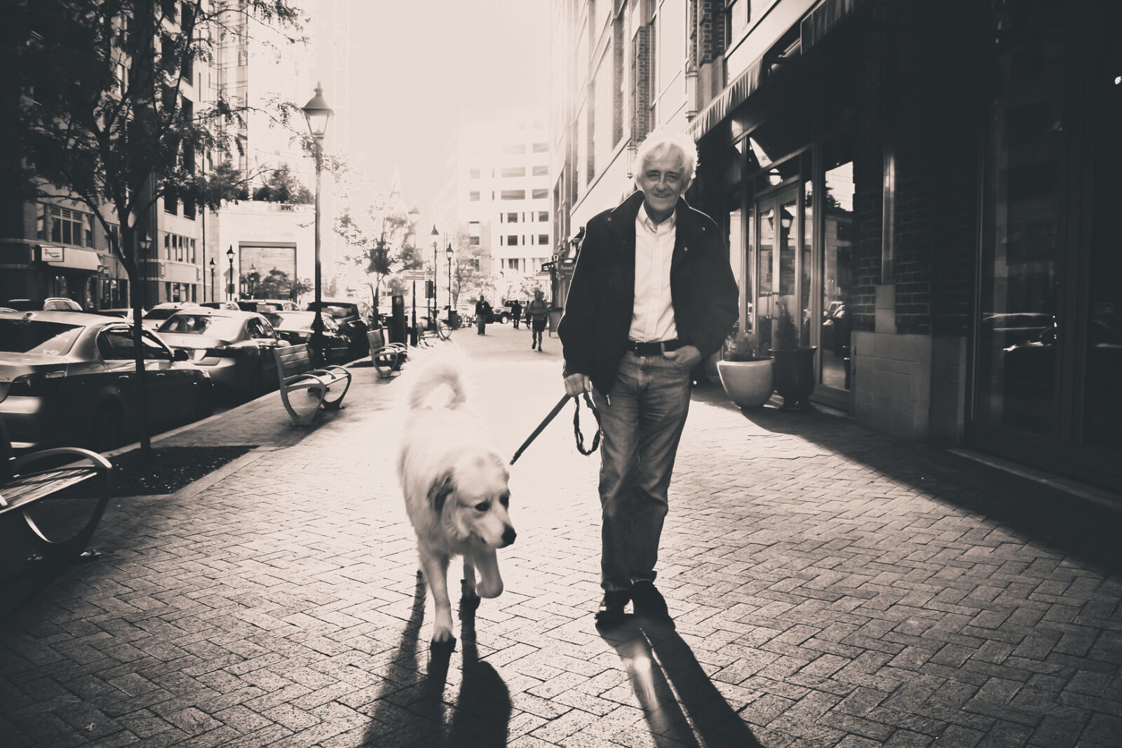 Canon EOS 1200D (EOS Rebel T5 / EOS Kiss X70 / EOS Hi) sample photo. Man, dog, streets, walking photography