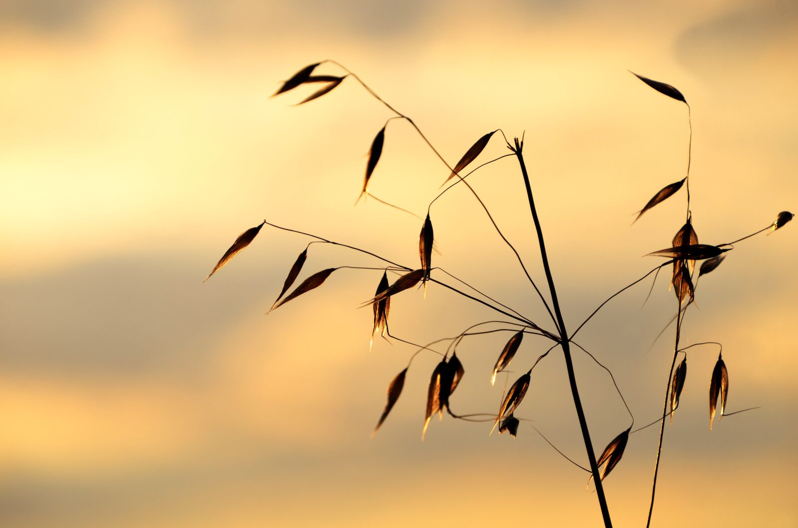 Nikon D7000 sample photo. Sunset, in the evening photography