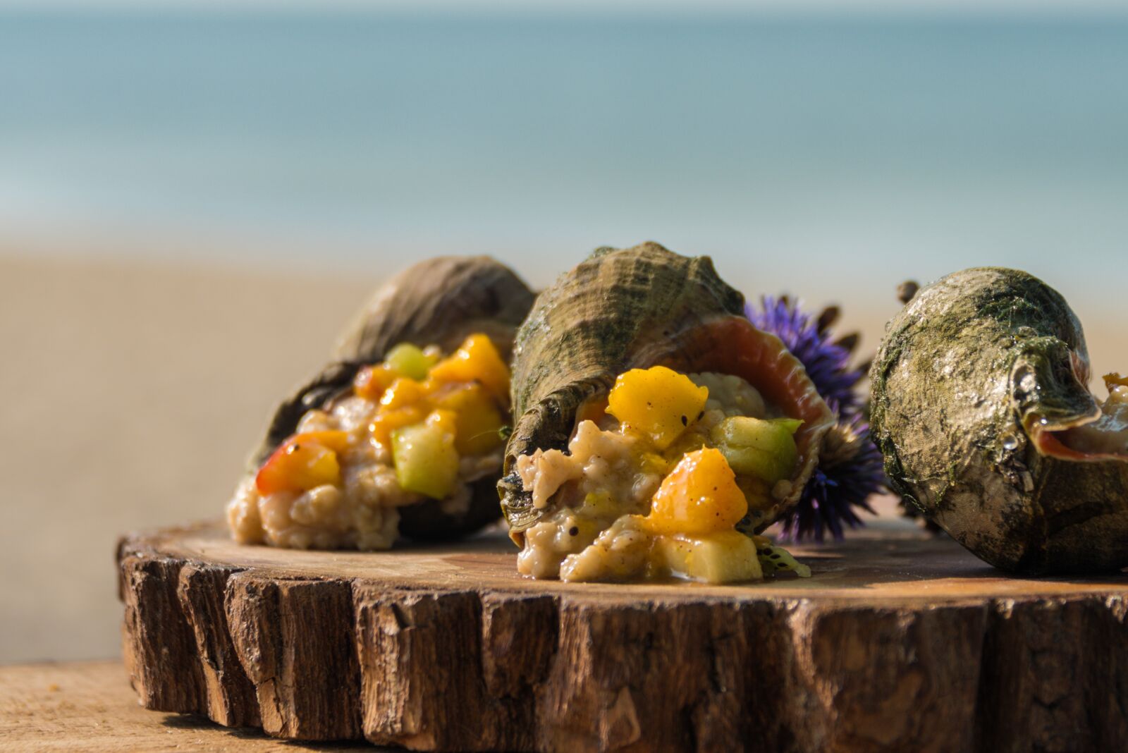 Nikon D810 sample photo. Rapana, food, beach photography