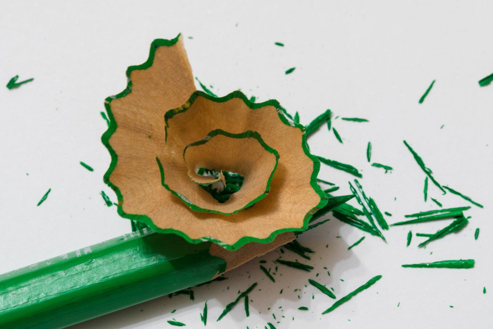 Canon EF 100mm F2.8L Macro IS USM sample photo. Colored pencil, green, paint photography