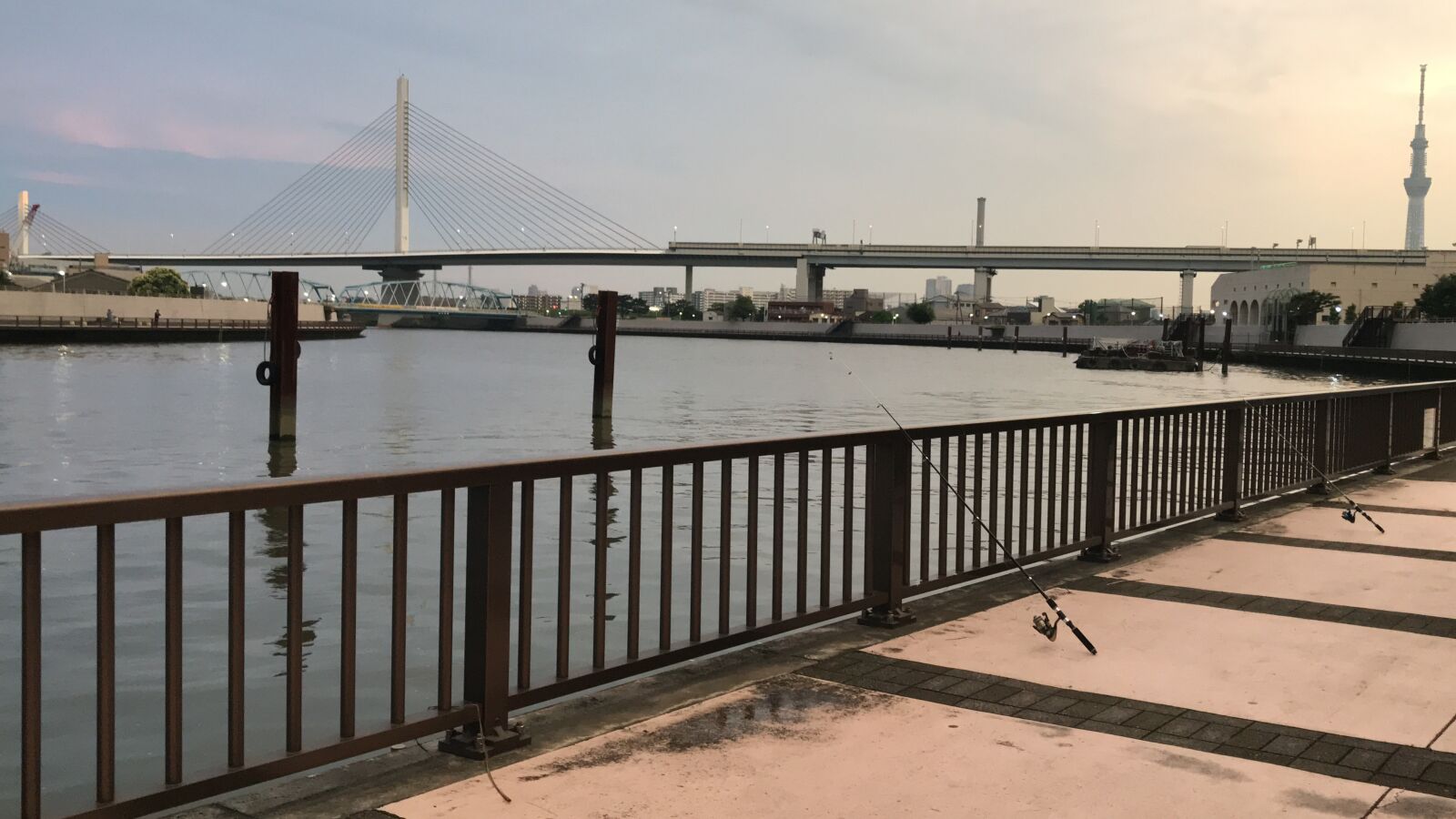 iPhone 7 back camera 3.99mm f/1.8 sample photo. Riverside, sky, river photography
