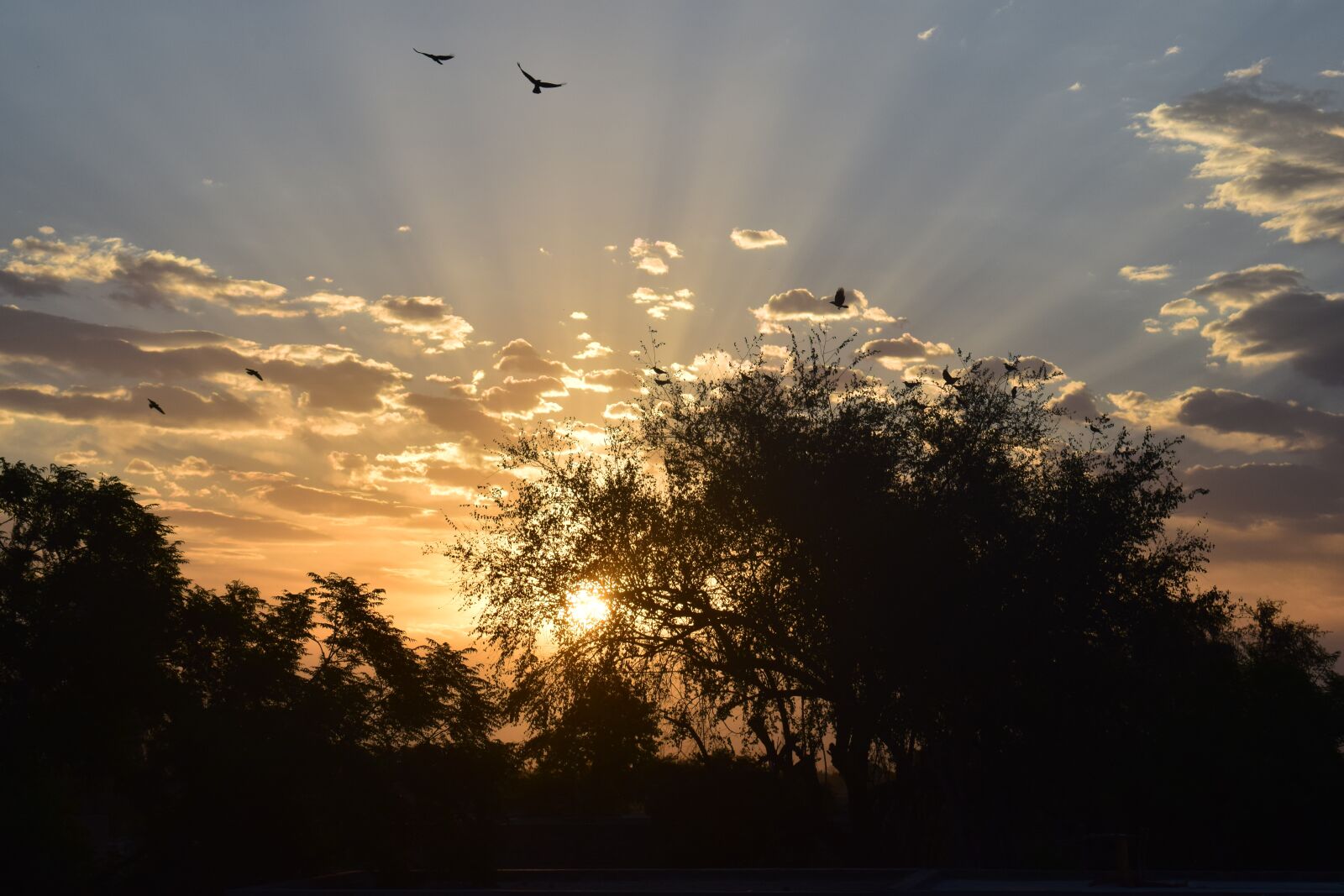 Nikon D5300 sample photo. Cool, sunshine, fantastic photography