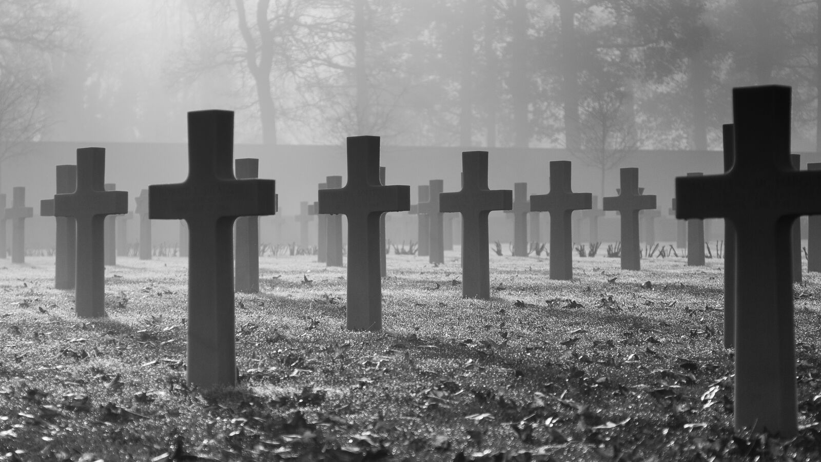 Canon EF 24-105mm F4L IS USM sample photo. War memorial, remembrance day photography
