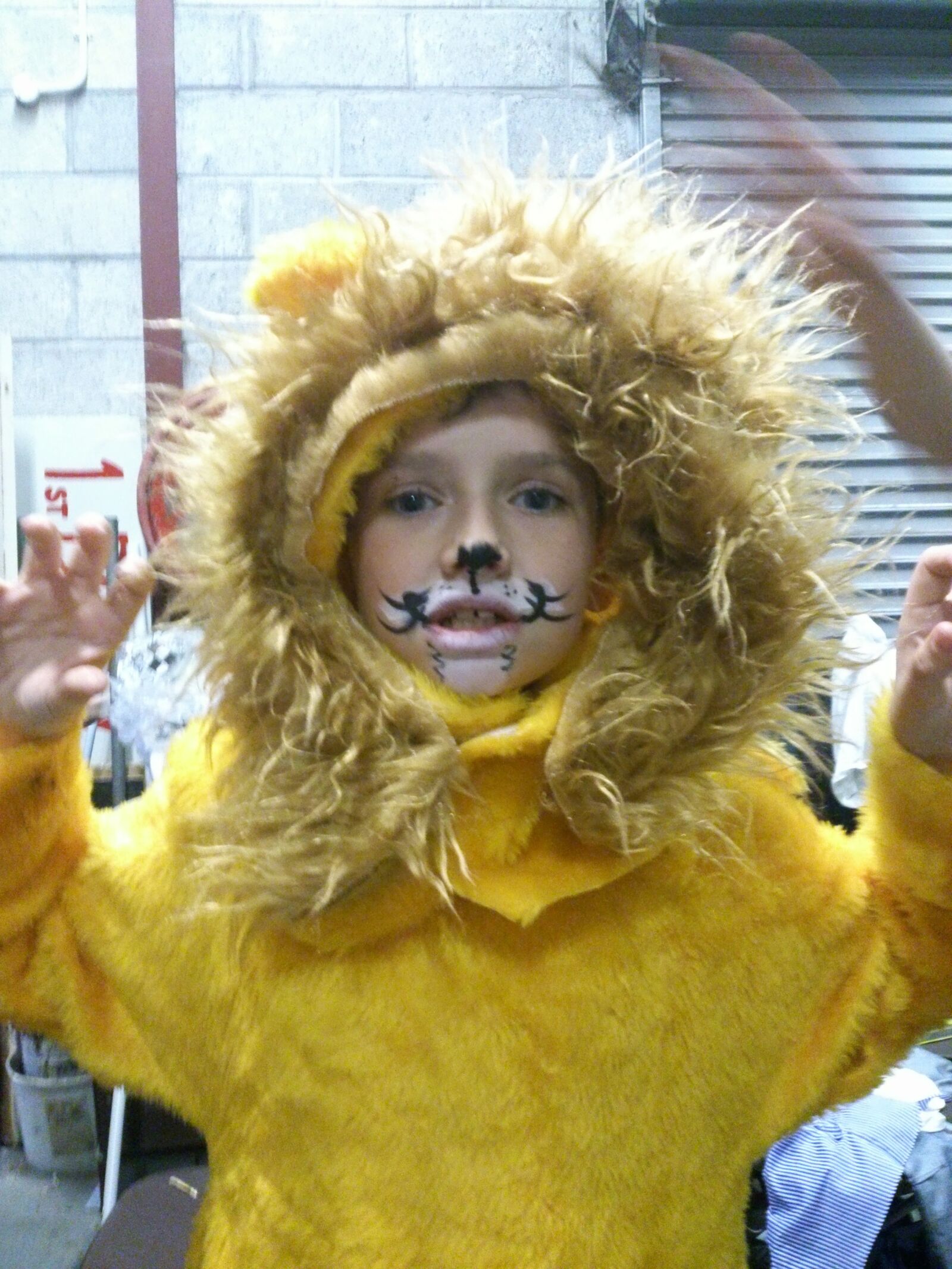 Sony Xperia T sample photo. Lion, costume, fancy dress photography