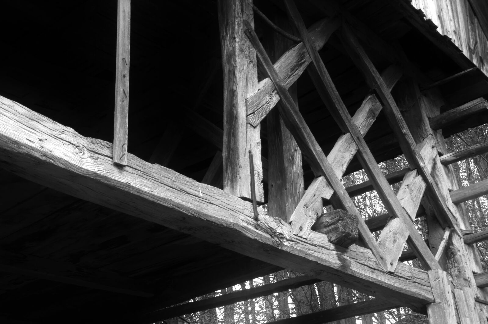 Sony Alpha NEX-5N sample photo. Black, and, white, bw photography