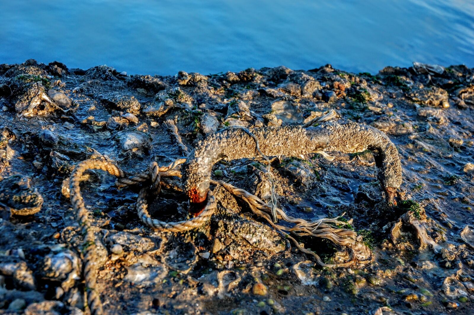 Nikon D40 sample photo. Low tide, sea, strong photography