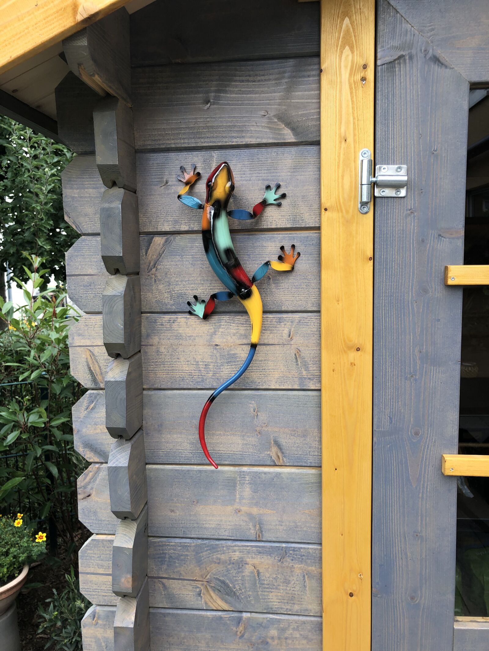 iPhone X back dual camera 4mm f/1.8 sample photo. Lizard, garden, colorful gekko photography