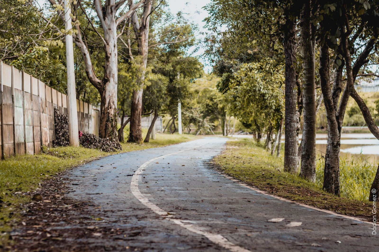 Canon EOS 600D (Rebel EOS T3i / EOS Kiss X5) + Canon EF 50mm F1.8 II sample photo. Path, nature, landscape photography