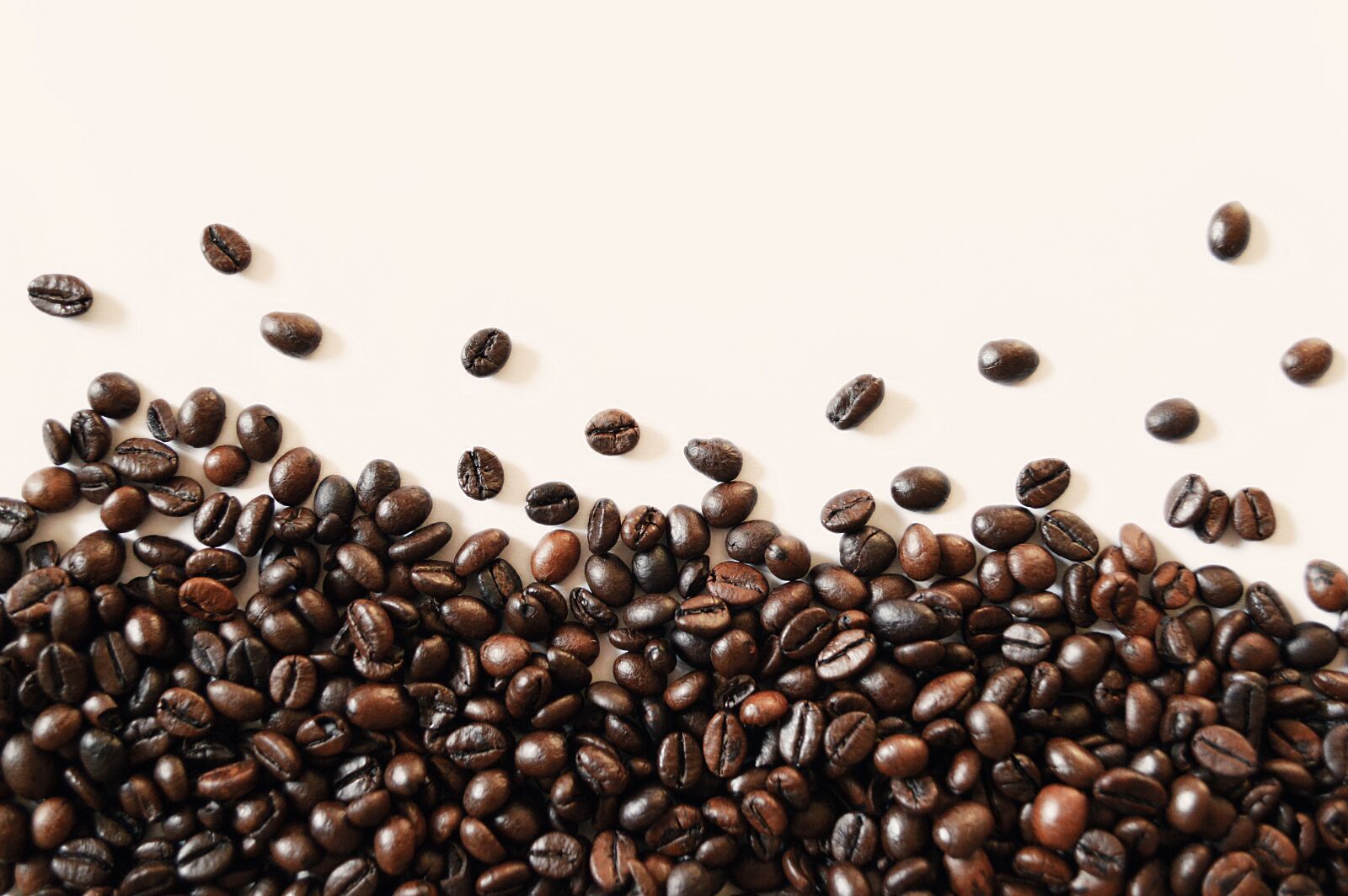 Nikon D3200 sample photo. Coffee beans, distributed, scattered photography