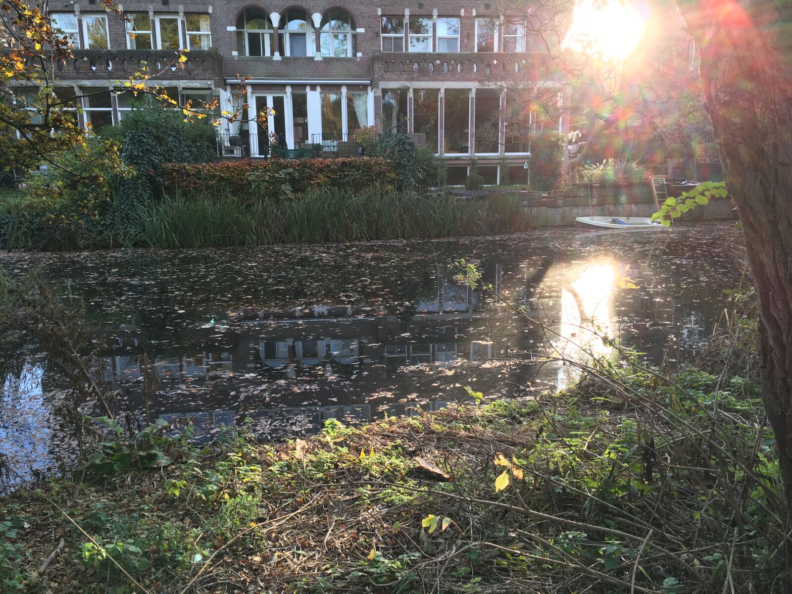iPhone 6s back camera 4.15mm f/2.2 sample photo. Amsterdam, city, park photography
