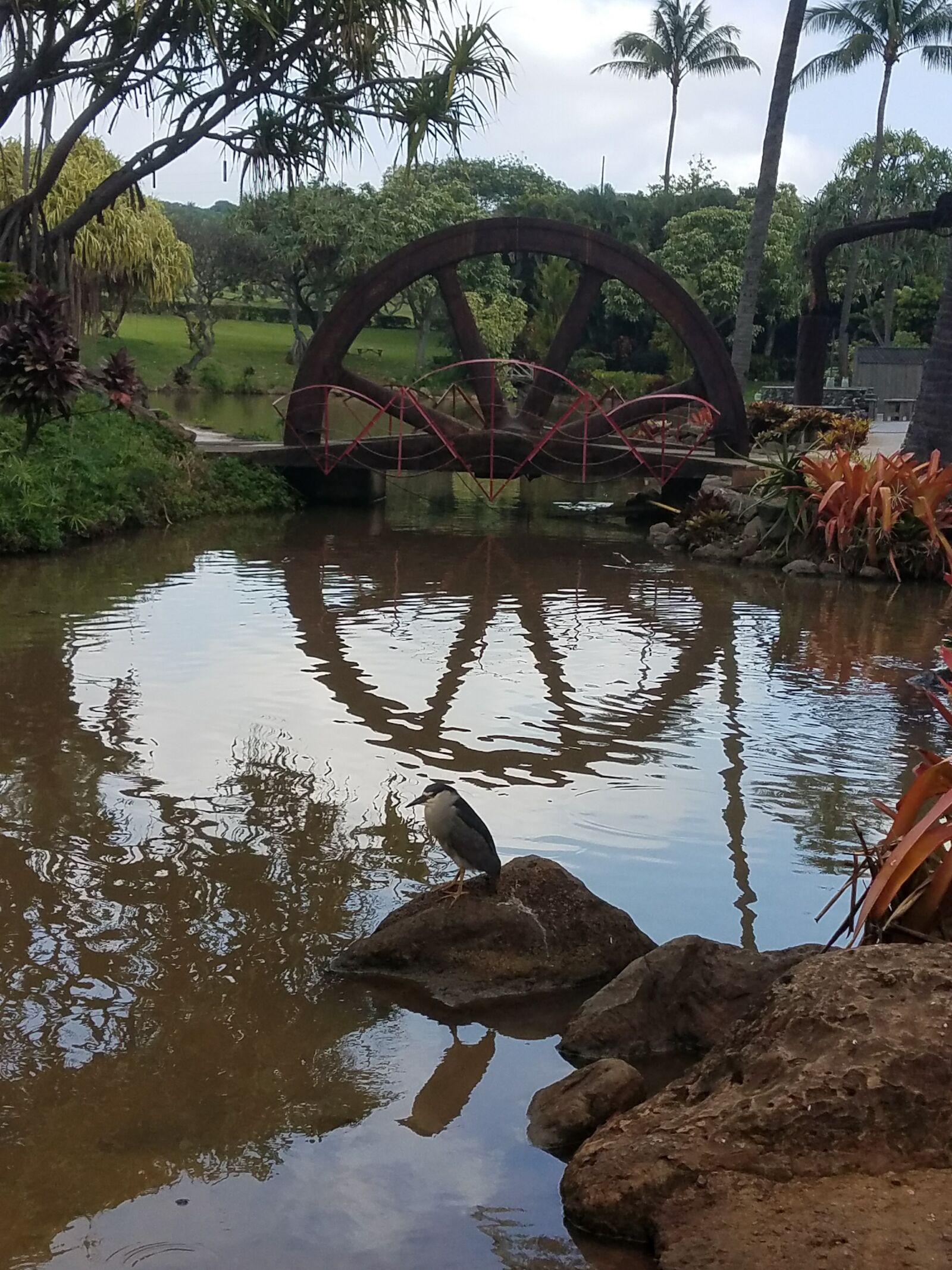 Samsung Galaxy S7 Edge sample photo. Bird, reflection, water, wheel photography