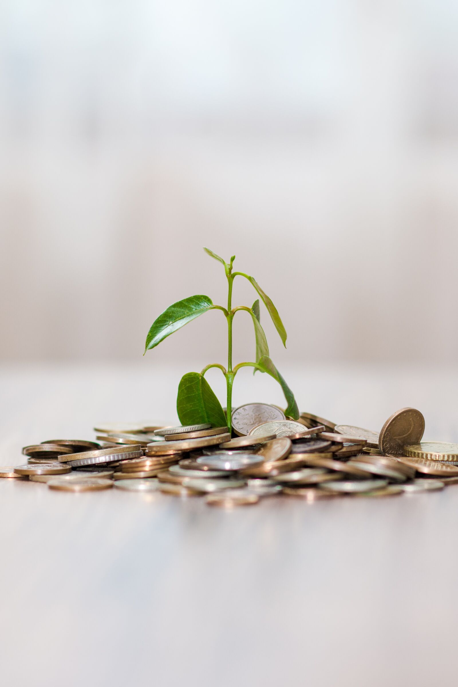 Nikon D7200 sample photo. Money, coins, finance photography