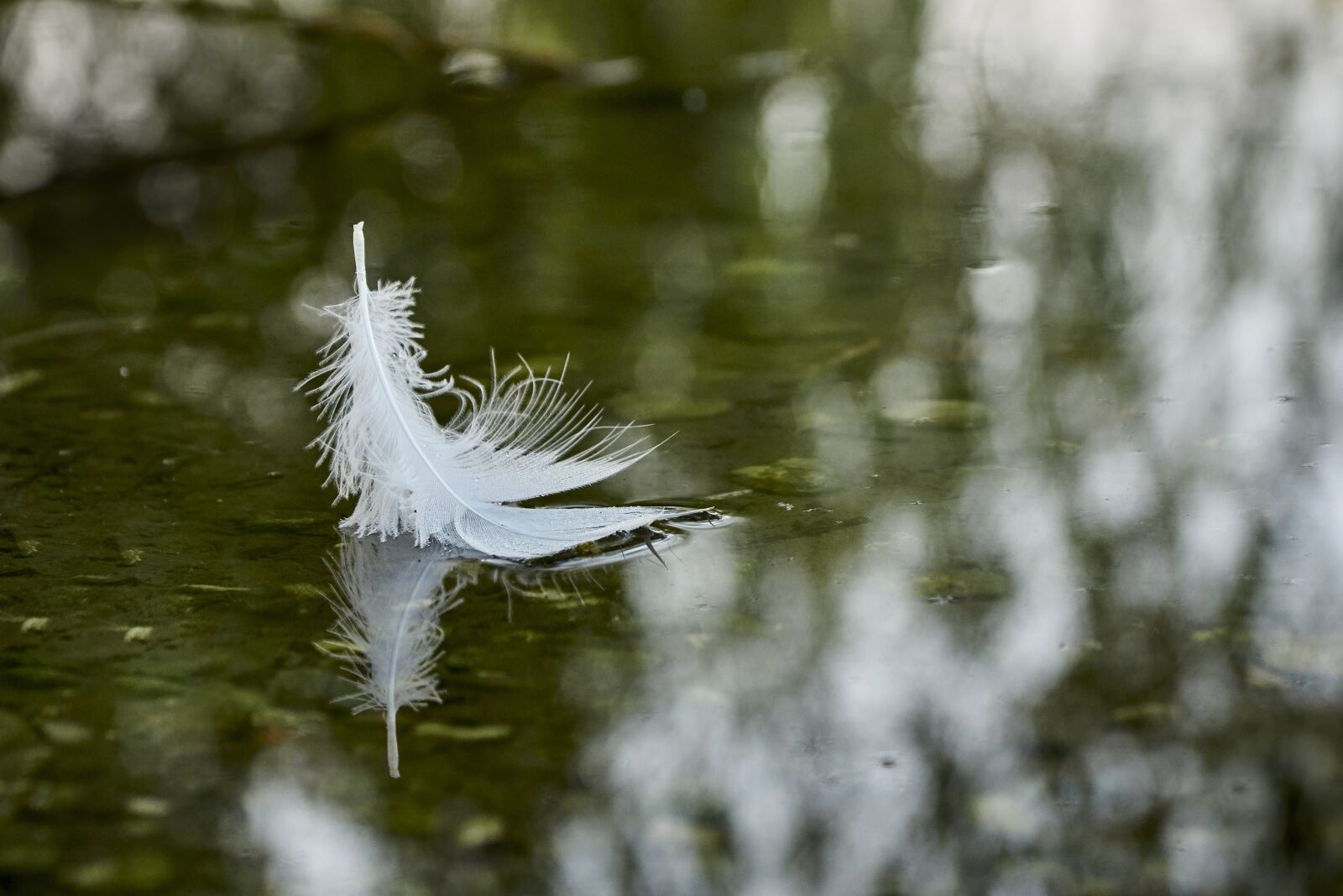 Sony SLT-A77 sample photo. Nature, close up, waters photography