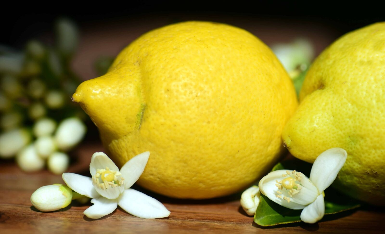 Nikon D3300 sample photo. Fruit, food, lemon, citrus photography