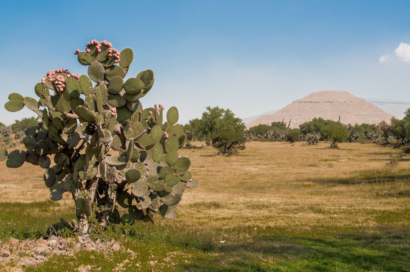 Nikon D5000 sample photo. Teotihuacan, mexico, pyramids photography