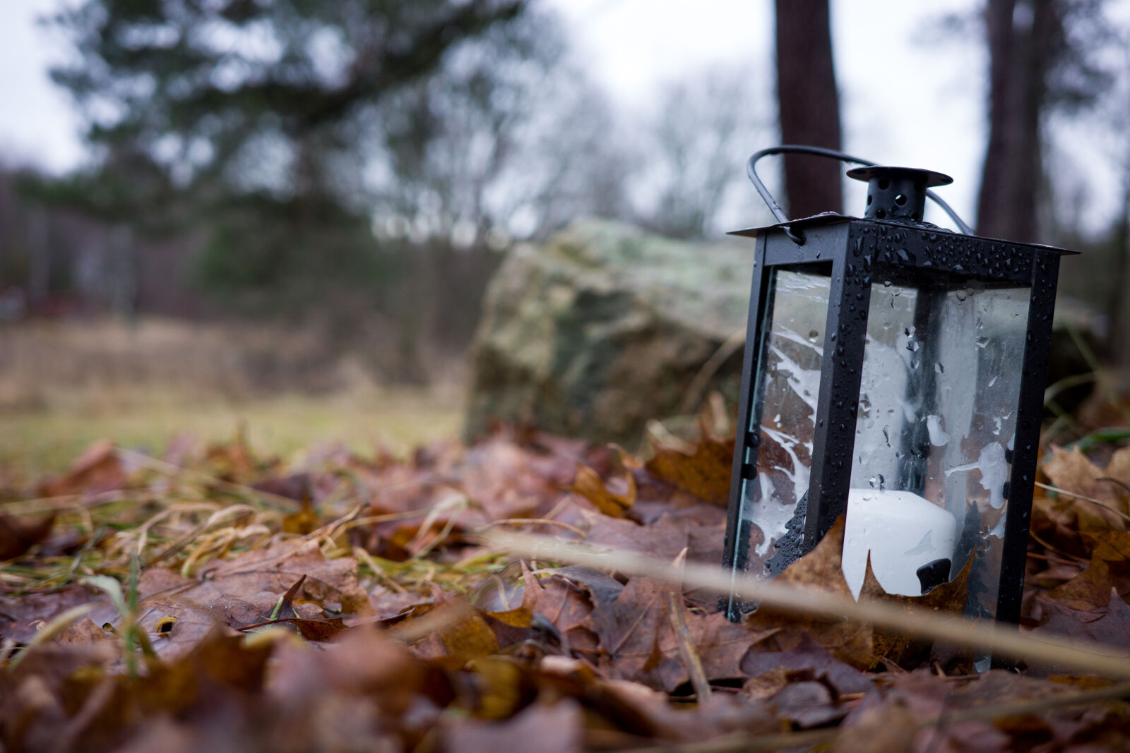 Ricoh GR IIIx sample photo. Yard lantern photography