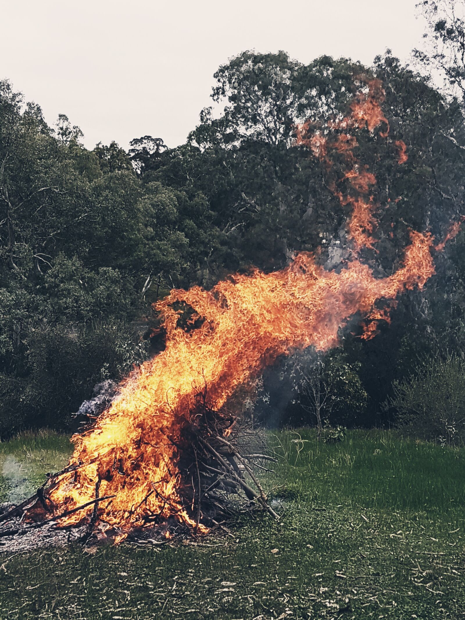 Samsung Galaxy S7 sample photo. Bonfire, fire, flame photography