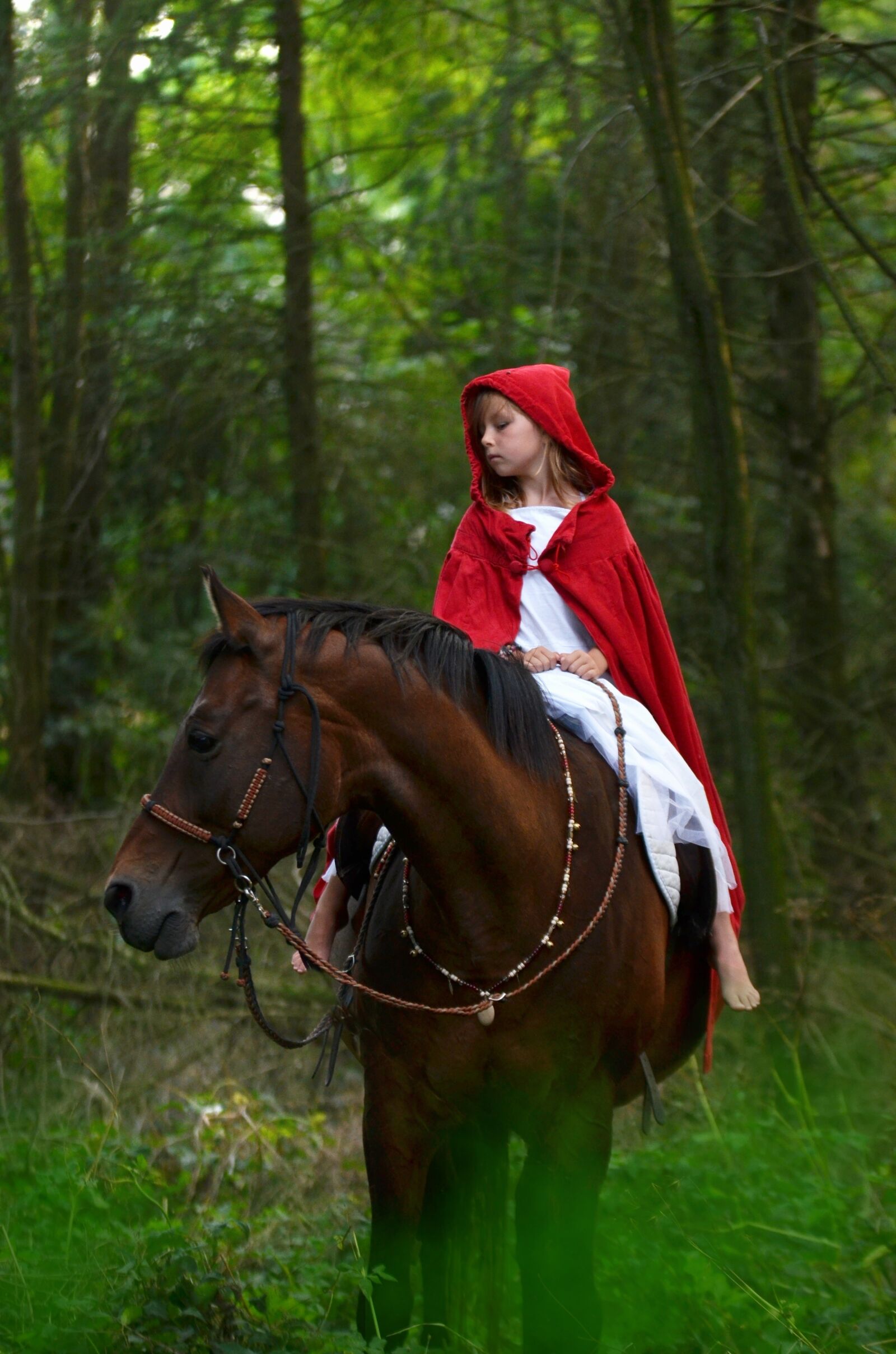 Nikon D5100 sample photo. Horse, horses, forest photography