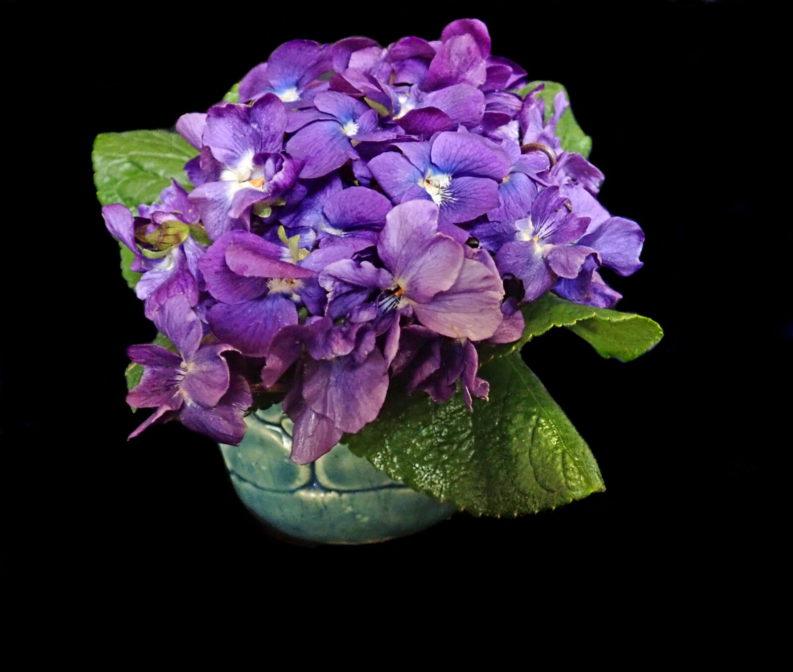 Olympus TG-5 sample photo. Violets, vase, flowers photography
