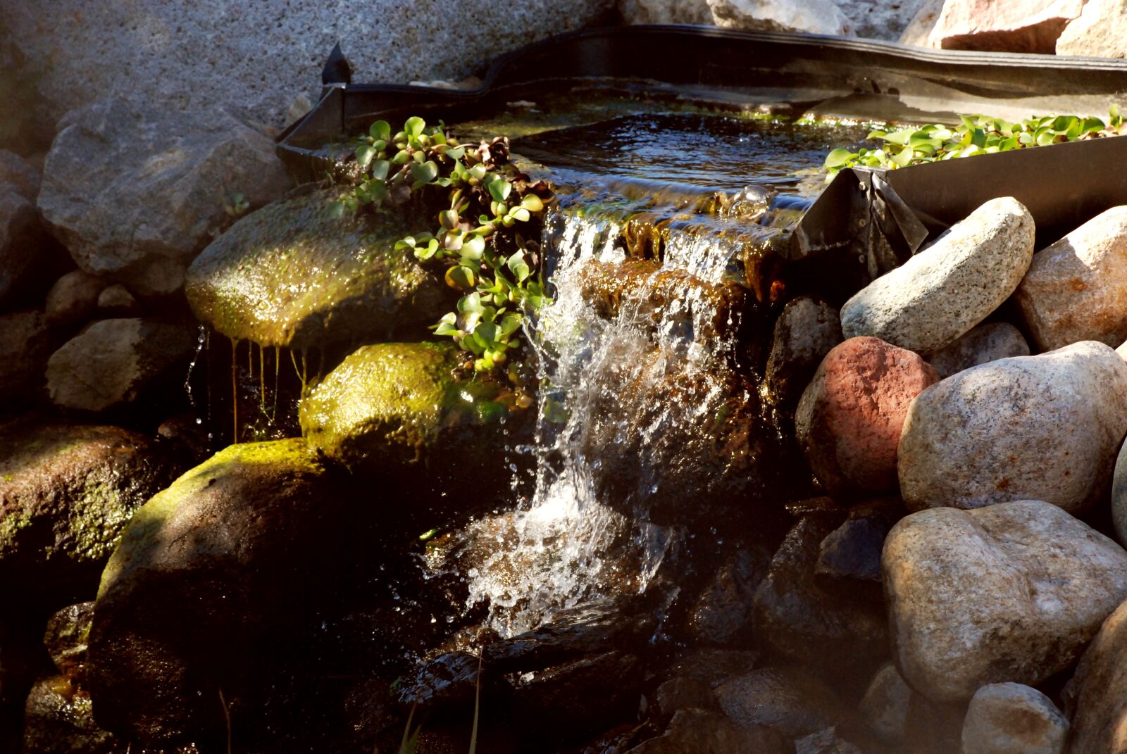 Nikon D80 sample photo. Waterfall, nature, garden photography