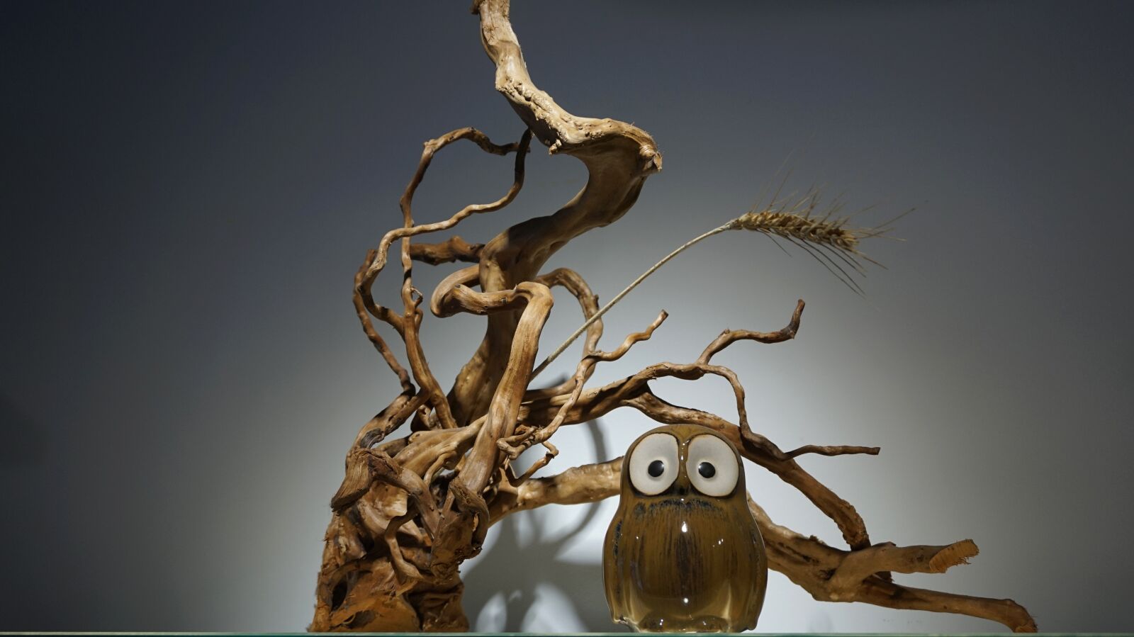 Sony Alpha a5000 (ILCE 5000) sample photo. Device, owl, deadwood photography