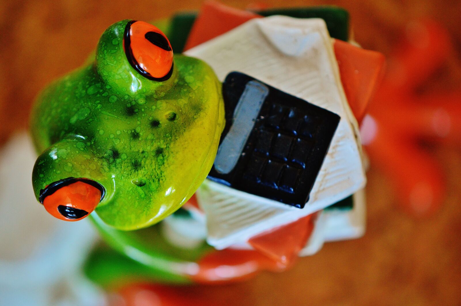 Nikon D3200 sample photo. Frog, funny, figure photography