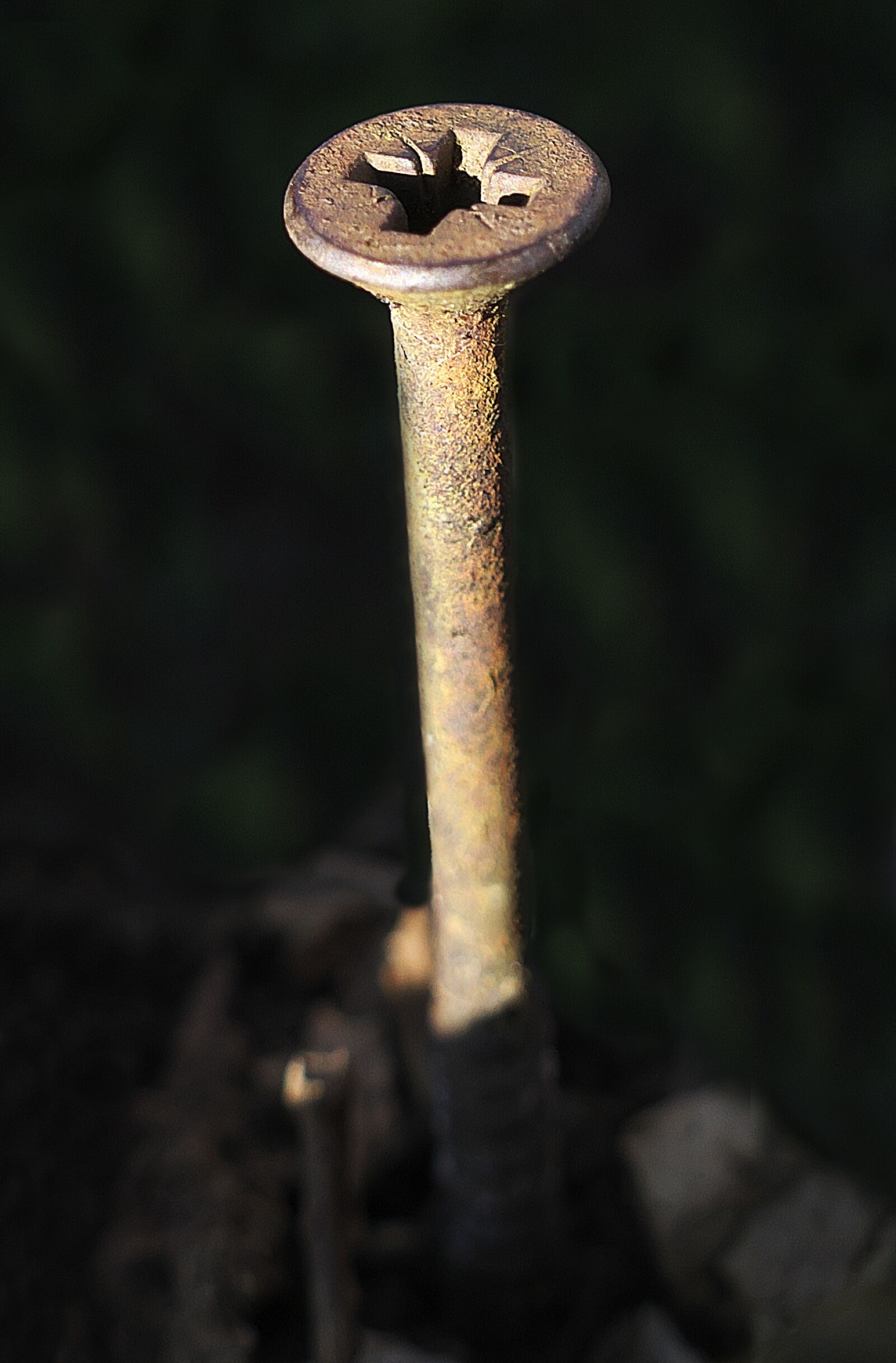 Panasonic Lumix DMC-FZ1000 sample photo. Screw, weathered, wood photography