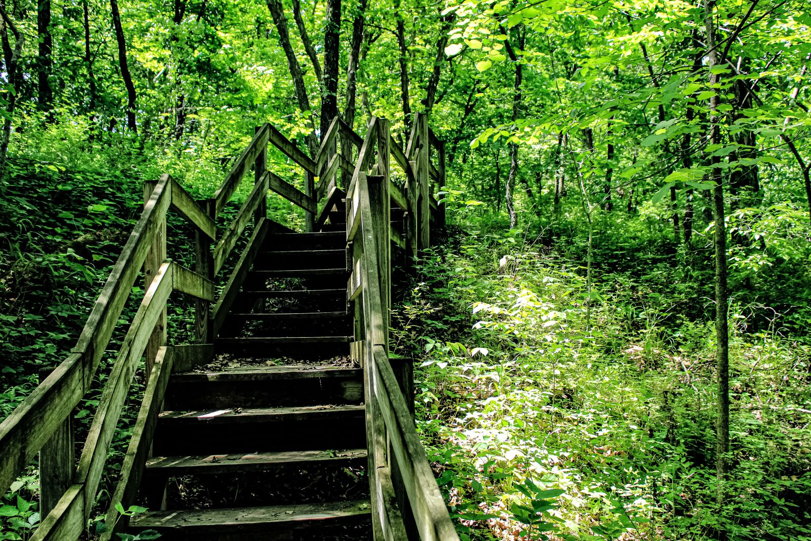 Canon EOS 4000D (EOS Rebel T100 / EOS 3000D) sample photo. Steps, stairs, rickety steps photography