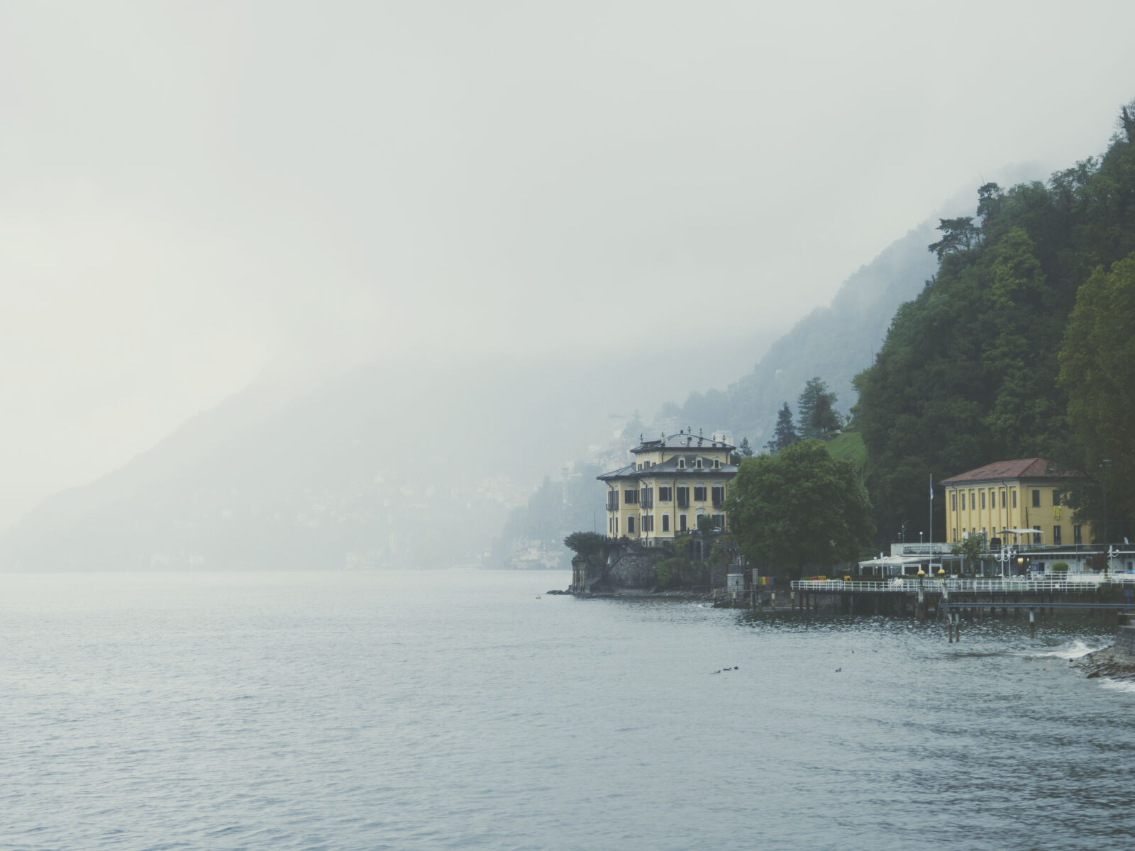 Olympus OM-D E-M10 II sample photo. Como, fog, forest, italy photography