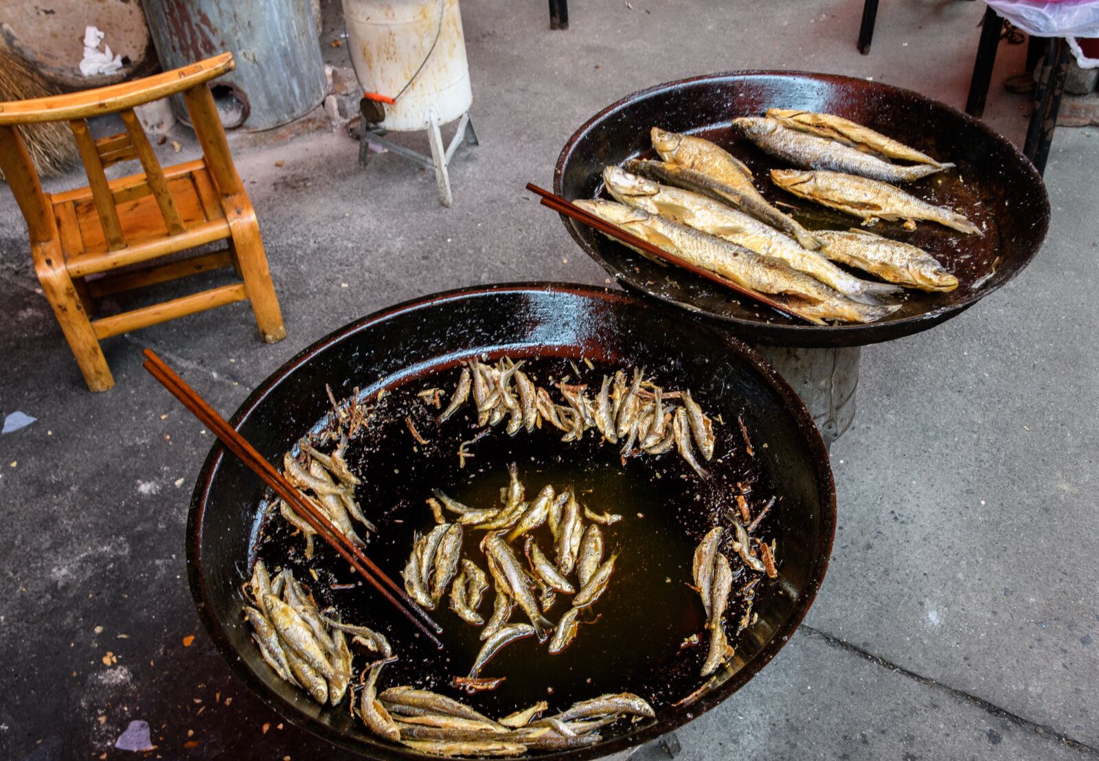 Nikon D500 sample photo. China, beijing, traditional photography