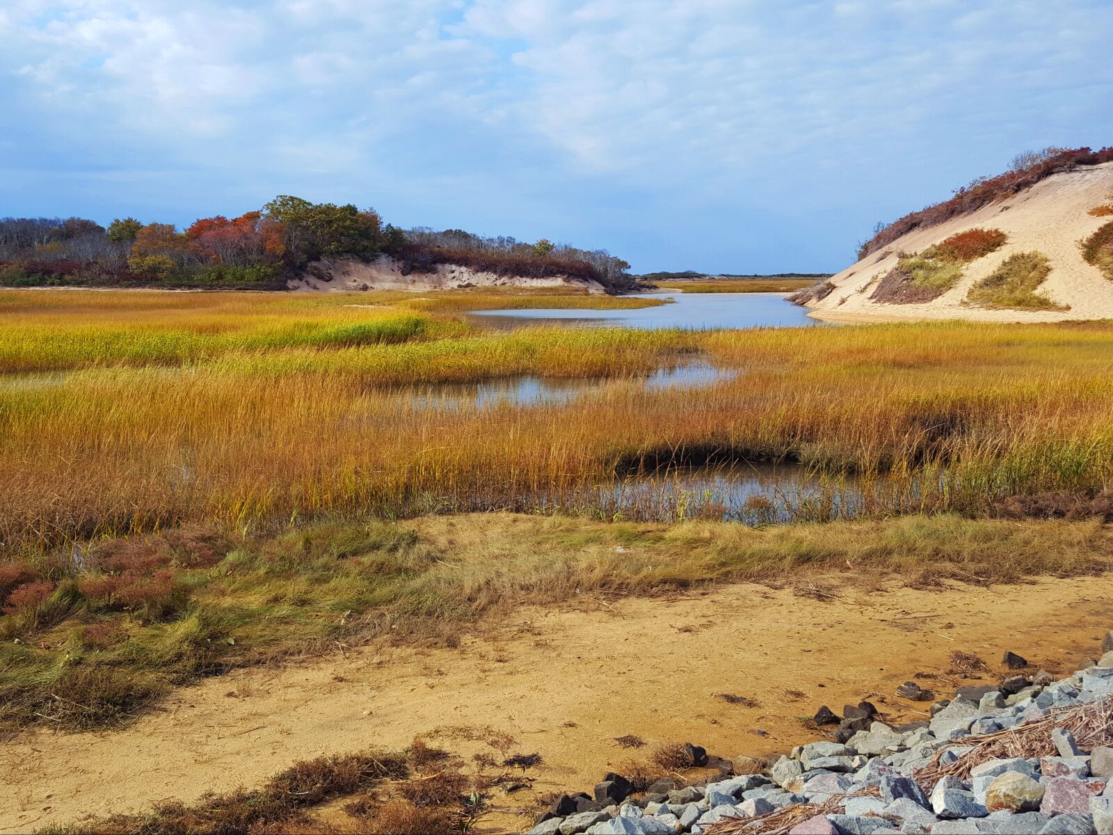 Samsung Galaxy S6 sample photo. Marsh, wetland, grassland photography