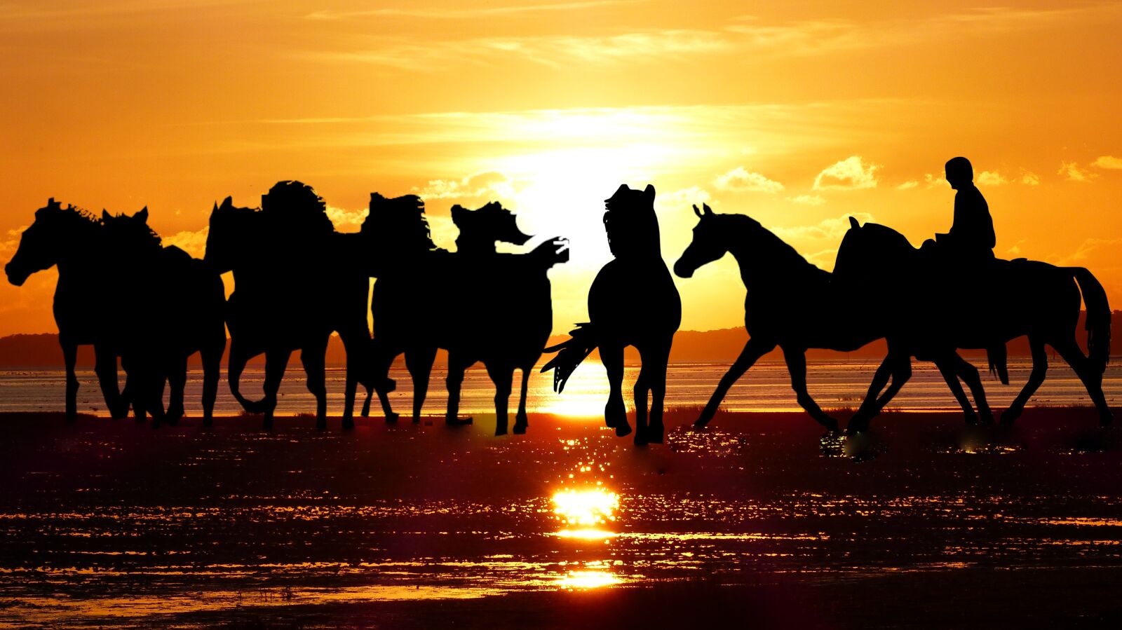 Panasonic Lumix DMC-FZ200 sample photo. Sunset, camargue, horses photography