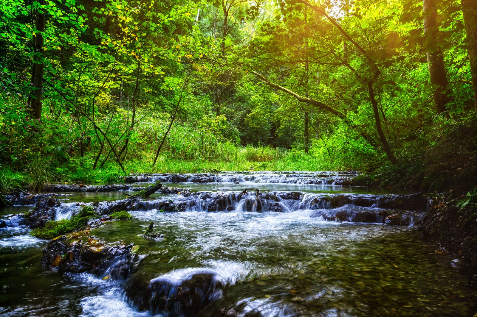 Nikon Z6 sample photo. Bach, river, water photography