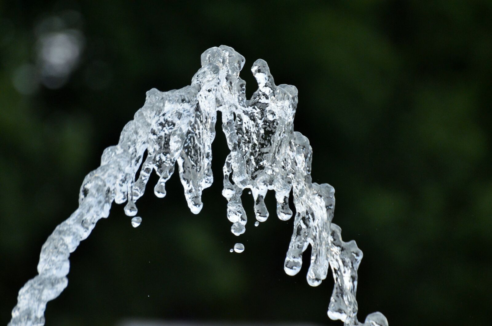 Nikon D5100 sample photo. Water, fountain, basin photography